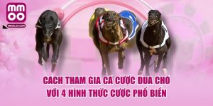 Thể Thao MMOO Và Top 3 Lý Do Làm Nên Sức Hút Đỉnh Cao - defapo