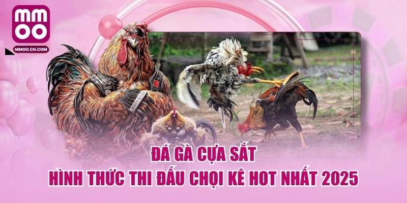 Đá Gà Cựa Sắt - Hình Thức Thi Đấu Chọi Kê Hot Nhất 2026 - defapo