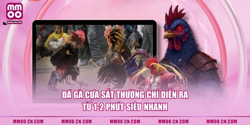 Đá Gà Cựa Sắt - Hình Thức Thi Đấu Chọi Kê Hot Nhất 2026 - defapo