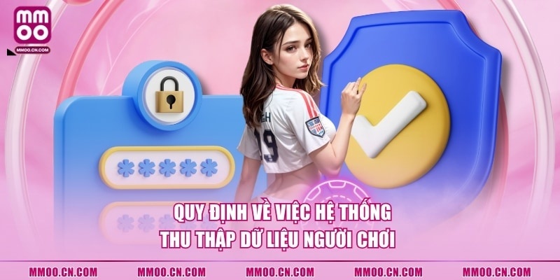 Chính Sách Bảo Mật MMOO - 3 Quy Định Mới Được Cập Nhật - defapo